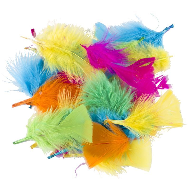 DALA FEATHERS 6CM 50PC